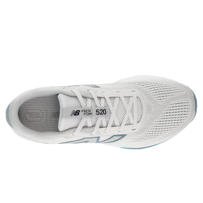 Кросівки для бігу чоловічі New Balance Fresh Foam 520v9