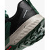 Кросівки для бігу чоловічі Nike Juniper Trail 3