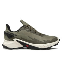 Кросівки чоловічі Salomon Alphacross 4 GTX Gore-Tex 417230 26 V0