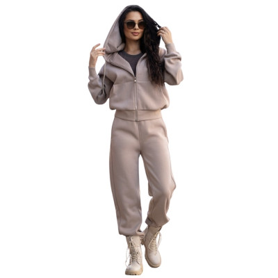 Жіночий теплий спортивний костюм Freever NF 5417-5824 бежевий