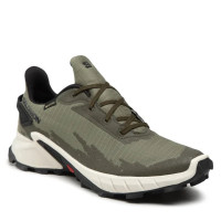 Кроссовки мужские Salomon Alphacross 4 GTX Gore-Tex 417230 26 V0