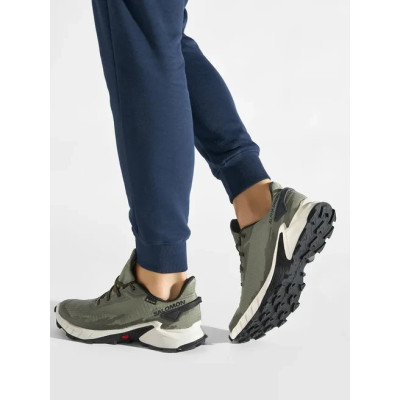 Кросівки чоловічі Salomon Alphacross 4 GTX Gore-Tex 417230 26 V0