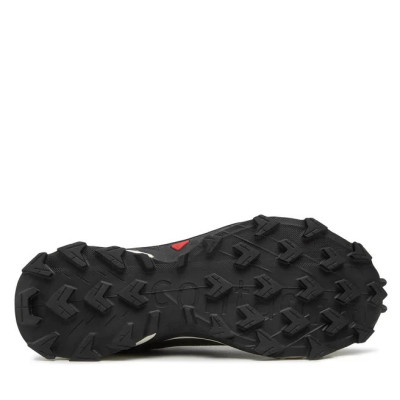 Кросівки чоловічі Salomon Alphacross 4 GTX Gore-Tex 417230 26 V0