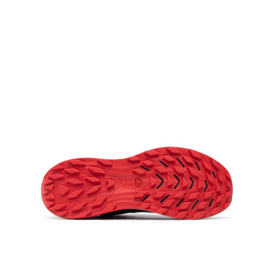 Кросівки бігові чоловічі Salomon Ultra Glide