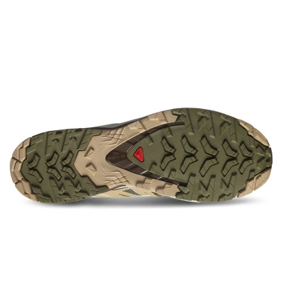 Кросівки бігові чоловічі Salomon Xa Pro 3D V9