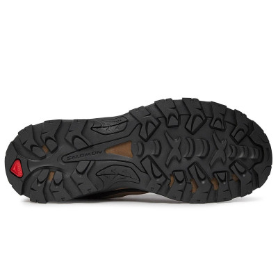 Черевики трекінгові чоловічі Salomon Quest Rove GTX 471814