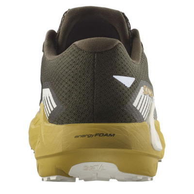 Кросівки бігові чоловічі Salomon Drx Defy Grvl