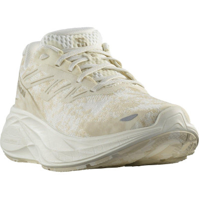 Кросівки бігові жіночі Salomon Aero Glide 2 W