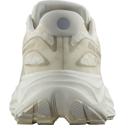 Кросівки бігові жіночі Salomon Aero Glide 2 W